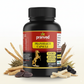 Pranshakti | Ayurvedic Daily Energy & Wellness Supplement